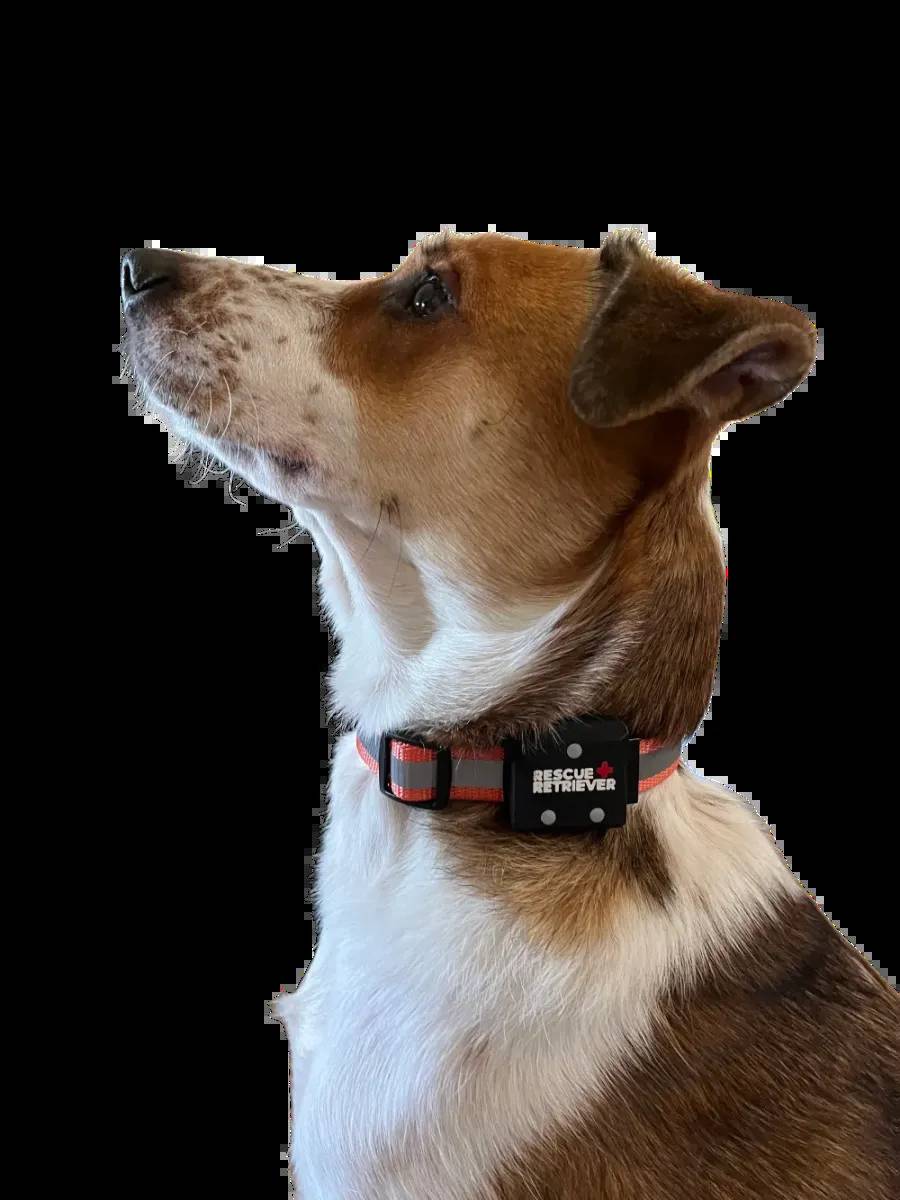 Rescue Retriever, CES 2026'da Yangınlar İçin Akıllı Hayvan Tasması FireTag'i Tanıttı